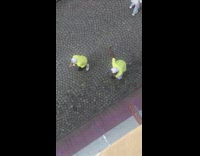 Two men neon green shirt tiktok dance alley