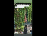 Girl fedora hat pink frill dress vines