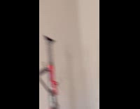 Brown dog bites toy while watching TV