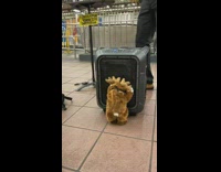 Guy plays saxophone at subway station pt. 3