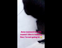 black dog white leash woman walks dog