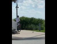 Man on a bicycle with a tripod beside him