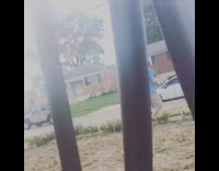 Black white dog chasing guy in hot dog costume