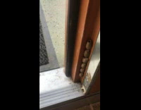 Man finds strange cocoons on his door 