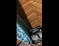 Filmer reach in to cat sleep in backpack