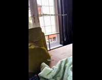 Twin identical black cats with different personality