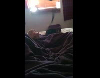 Two cats played with owner on bed