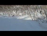 Snowboard backflip fail