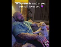 Dog touches guy for attention