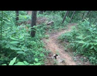 Collab SendItOfficiall - Grey shirt guy rides bicycle mountain car