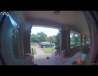 Squirrel climb near Ring camera shows nuts