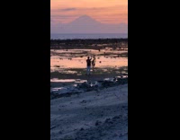 Collab IITW - Woman black dress pose at beach sunset