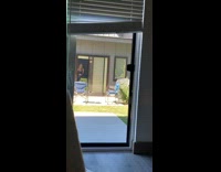 Black shirt girl selfie sliding glass door 
