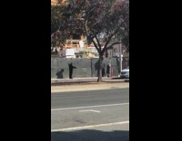 Gorilla costume hold stereo street tree car