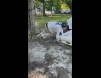 Guy does front flip onto burning wood 