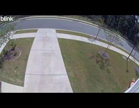 Balloons rolls around yard caught on camera