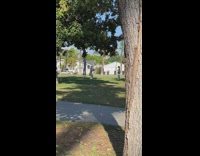 Pennywise costume and woman in stilts dances on the park