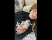 Grey white puppy sleeps on girls chest