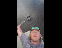 Collab BitchMP - Guy sprays water into manatees mouth 
