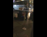 man playing saxophone animals dancing