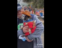 dog in woody toy story costume