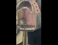 Snake inside clear and pink backpack carrier 