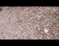 Nelson rides bike off tall wooden platform and falls off, friend runs to help