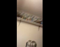 Collab AnimalIG - Cat walks on the wall shelf and Lego car falls