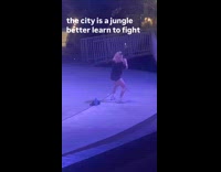 Woman shadow box practice at the park Part 2