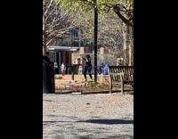 Lady does unwritten tiktok dance at park 