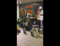Guy with saxophone performs with animal toys 