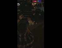 Guy sit dog and black truck night