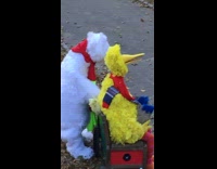 Big Bird and Polar Bear Hang Out on Bench at Park 
