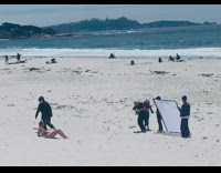 Girl bikini windy beach team assistant reflector Part 1