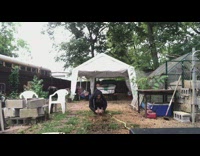 Guy walks around with brown duck on head