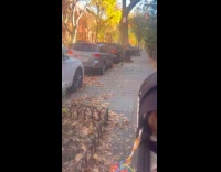 Man on street hugging tree 