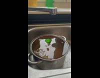 Droplet fall to cooking pot with water