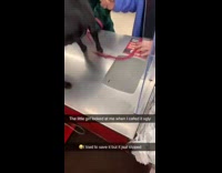 Little black dog on counter looks at cashier as he calls it ugly