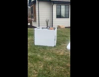 Little girl has petting zoo stand 
