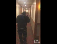 Bear walks into hotel hallway and gets caught by security guard