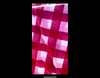 Guy dresses up as picnic table 