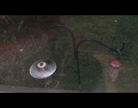 Window birds on bird feeder 