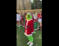 Person dressed as grinch on baseball field sorority
