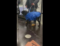 Guy with dog wearing ikea bag subway 