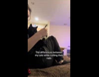 Woman shows difference cutting cats nails