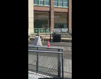 Two women green railings hands up pictorial