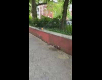 Black clothing on fire on brick ledge