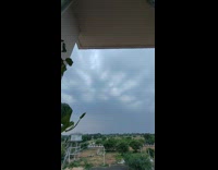 Time lapse of grey sky plants lightning