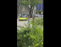 Girl yellow top pose on road car