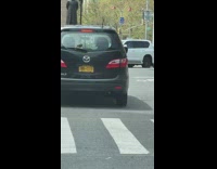 Crab escapes from restaurant 